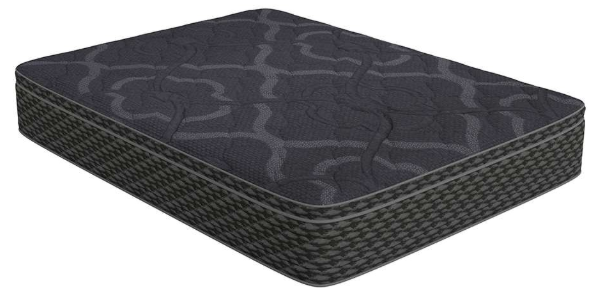 10" Foam Encased Euro Top Mattress by Corsicana